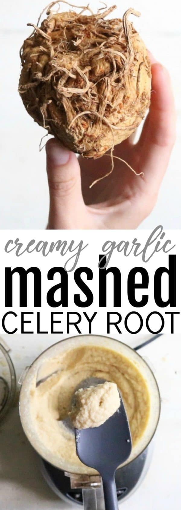 Creamy Garlic Mashed Celery Root - The Toasted Pine Nut