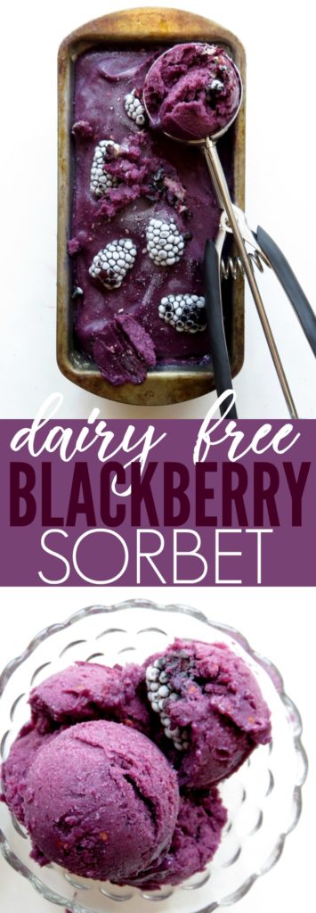 Really fun and delicious Banana Blackberry Ice Cream! It's dairy free and only a few ingredients!! You'll love this summery sorbet recipe! Paleo + vegan + Dairy free!! thetoastedpinenut.com
