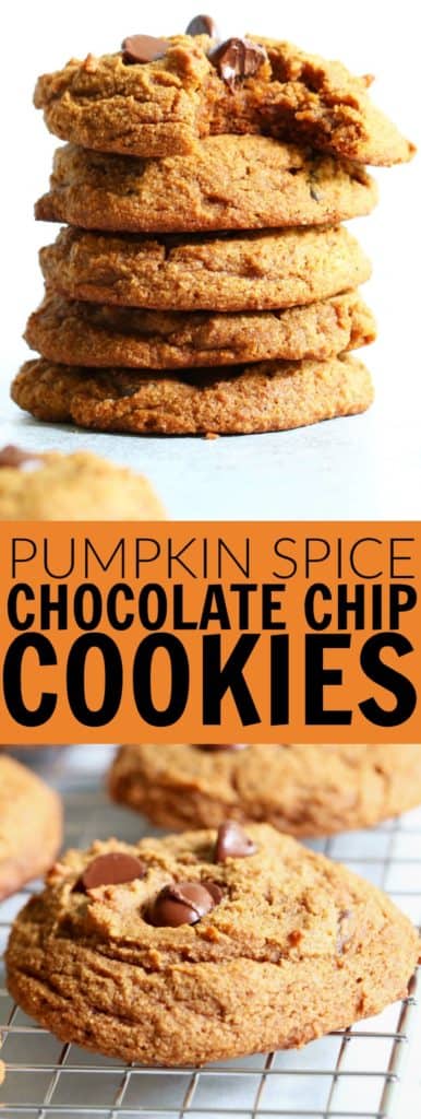 You'll love these paleo Pumpkin Spice Chocolate Chip Cookies!! They're gluten free, dairy free, and the perfect autumn dessert recipe! thetoastedpinenut.com #lowcarb #glutenfree #paleo