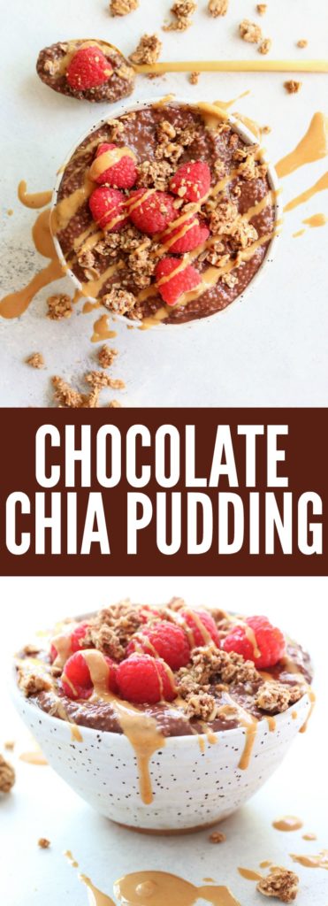 This creamy, chocolatey Chocolate Chia Pudding is your new favorite breakfast to meal prep! It's made with really delicious healthy ingredients! thetoastedpinenut.com #lowcarb #glutenfree #dairyfree #paleo #breakfast
