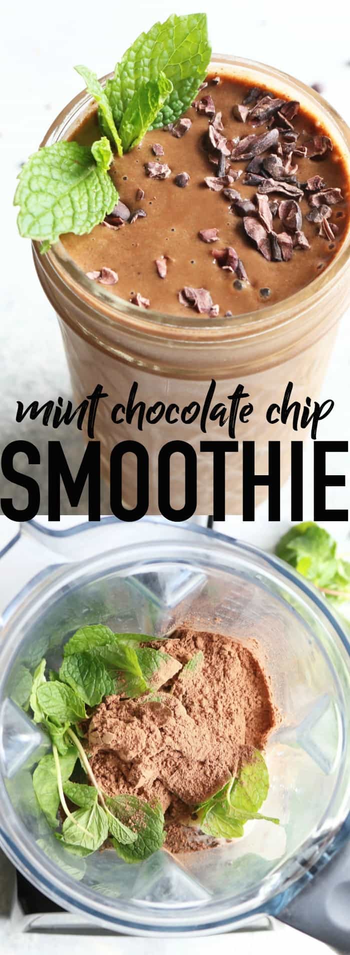 Revamp your smoothie game with this Mint Chocolate Chip Smoothie! It feels super indulgent but is actually packed with healthy, nutritious ingredients! thetoastedpinenut.com #smoothie #breakfast #healthy #snack