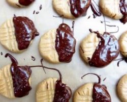 Pine Nut Cookies Recipe No Bake Chocolate Dipped Peanut Butter Cookies The 