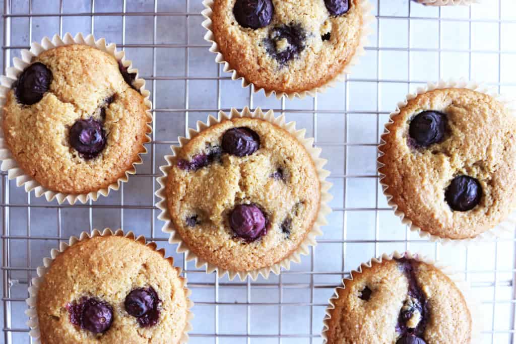 Blueberry Muffins - The Toasted Pine Nut
