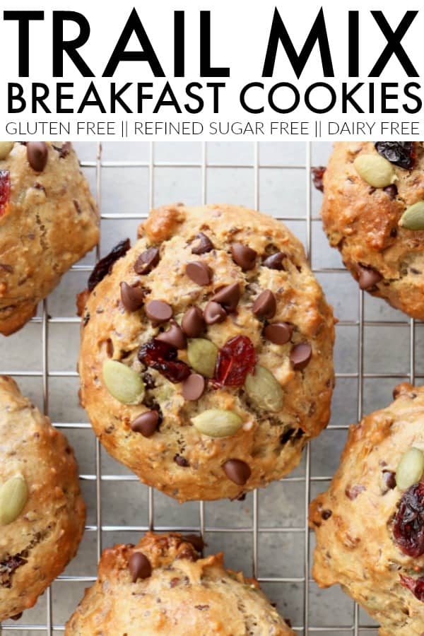 I can't wait for you to try these gluten free + refined sugar free Trail Mix Breakfast Cookies!! They're so hearty and perfect to grab for an easy morning meal! thetoastedpinenut.com #glutenfree #refinedsugarfree #sugarfree #paleo #breakfast #cookies