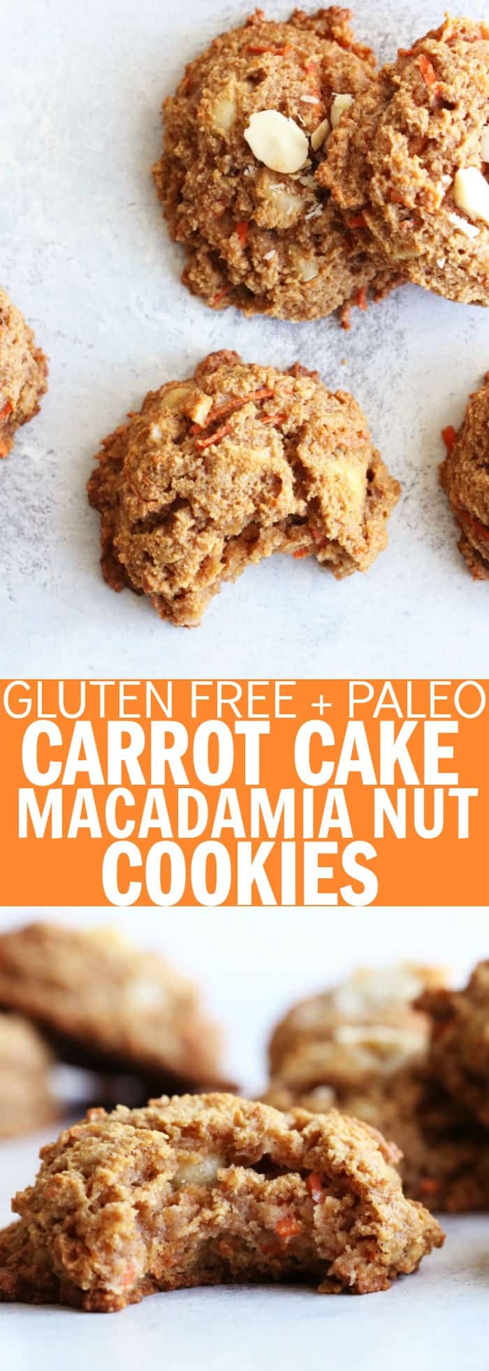 These Carrot Cake Macadamia Nut Cookies are so flavorful and delicious!! They are fluffy and moist and taste exactly like carrot cake but with a crisp outer edge! They're gluten free, paleo, and perfect for any time of day in my opinion!! thetoastedpinenut.com #thetoastedpinenut #glutenfree #paleo #dessert #cookie #carrot #cake #easter #dairyfree