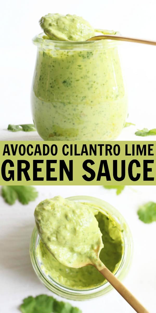 I'm completely obsessed with this Avocado Cilantro Lime Green Sauce!! It's the perfect put-it-on-everything sauce! Makes for a delicious dip or dressing too! thetoastedpinenut.com #thetoastedpinenut #avocado #cilantro #greensauce #healthy #sauce #dip #dressing