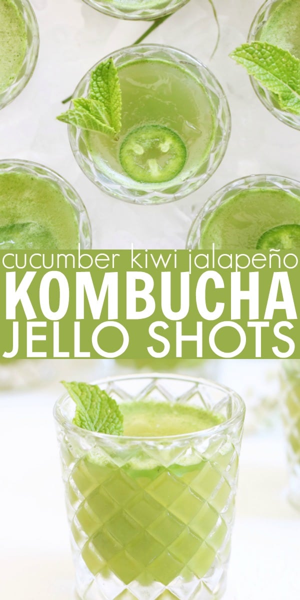 Get the party started with these good-for-you Jalapeño-Kiwi-Cucumber Kombucha Jello Shots!! As if you needed another reason, these jello shots are made with kombucha so they're loaded with probiotics and great for your gut health! thetoastedpinenut.com #thetoastedpinenut #kombucha #jello #shots #probiotics #guthealth #summer #party #cocktail