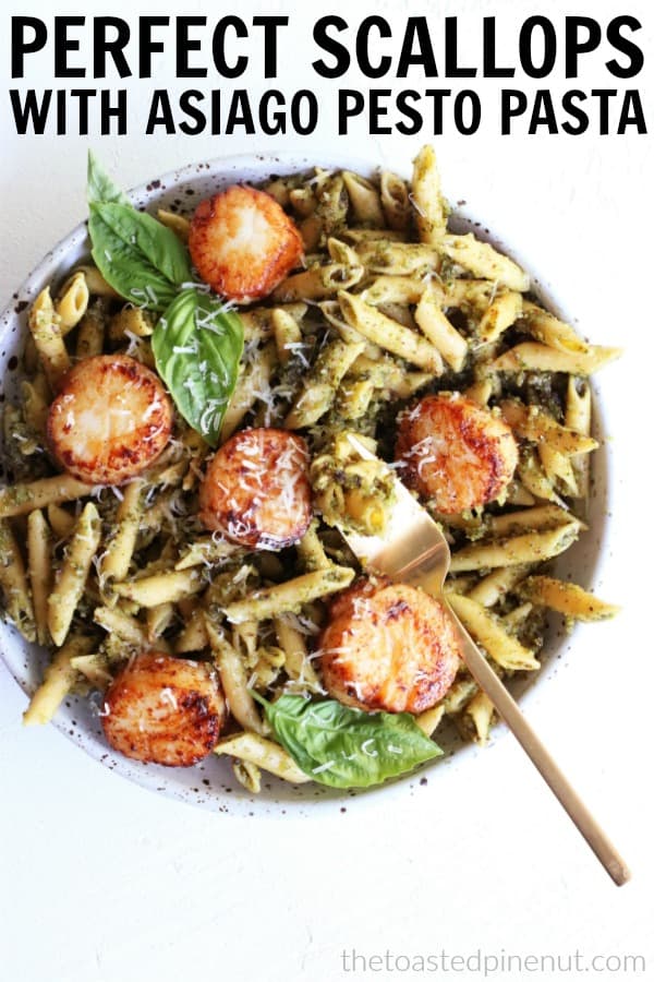 These easiest fool-proof way to make the most perfect scallops every single time! Serving up our Sautéd Scallops with Asiago Pesto Pasta that you'll love!! thetoastedpinenut.com #thetoastedpinenut #perfect #sautéd #scallops #seafood #dinner #asiago #pinenut #pesto #chickpea #pasta