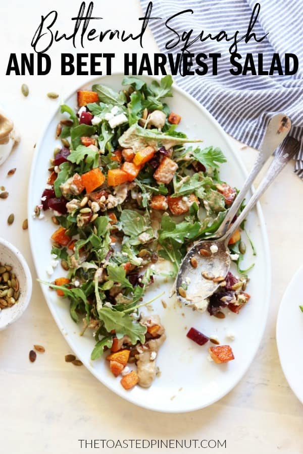The perfect autumn salad for your Thanksgiving table is here!! You'll love this Butternut Squash + Beet Harvest Salad with sweet pecan balsamic dressing! thetoastedpinenut.com #thetoastedpinenut #butternutsquash #beet #autumn #fall #thanksgiving #thanksgivingsalad #glutenfree #autumnsalad #butternutsquashsalad #beetsalad