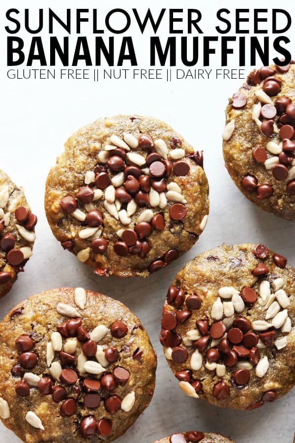 Obsessing over these nut free banana muffins! They're deliciously moist and use real food, feel good ingredients that are gluten free and dairy free! thetoastedpinenut.com #thetoastedpinenut #nutfree #nutfreemuffins #glutenfreemuffins #dairyfreemuffins #bananamuffins #healthybananamuffins #sunflowerseedmuffins #sunflowerseedbananamuffins #nutfreebananamuffins