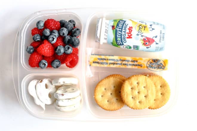 Five Kid Lunchbox Ideas - The Toasted Pine Nut