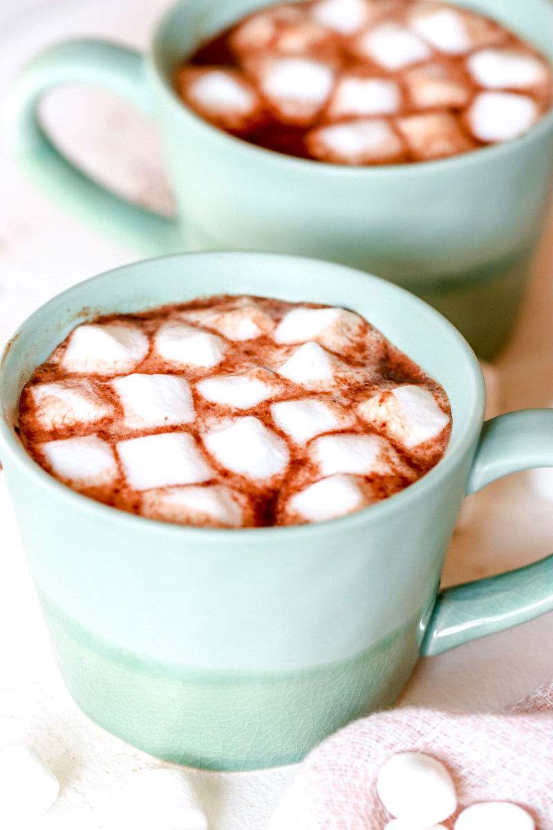 Slow Cooker Spiked Hot Chocolate - The Toasted Pine Nut