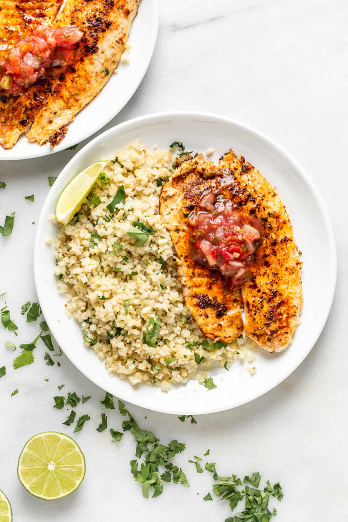 blackened tilapia with cauliflower rice on a white plate on marble