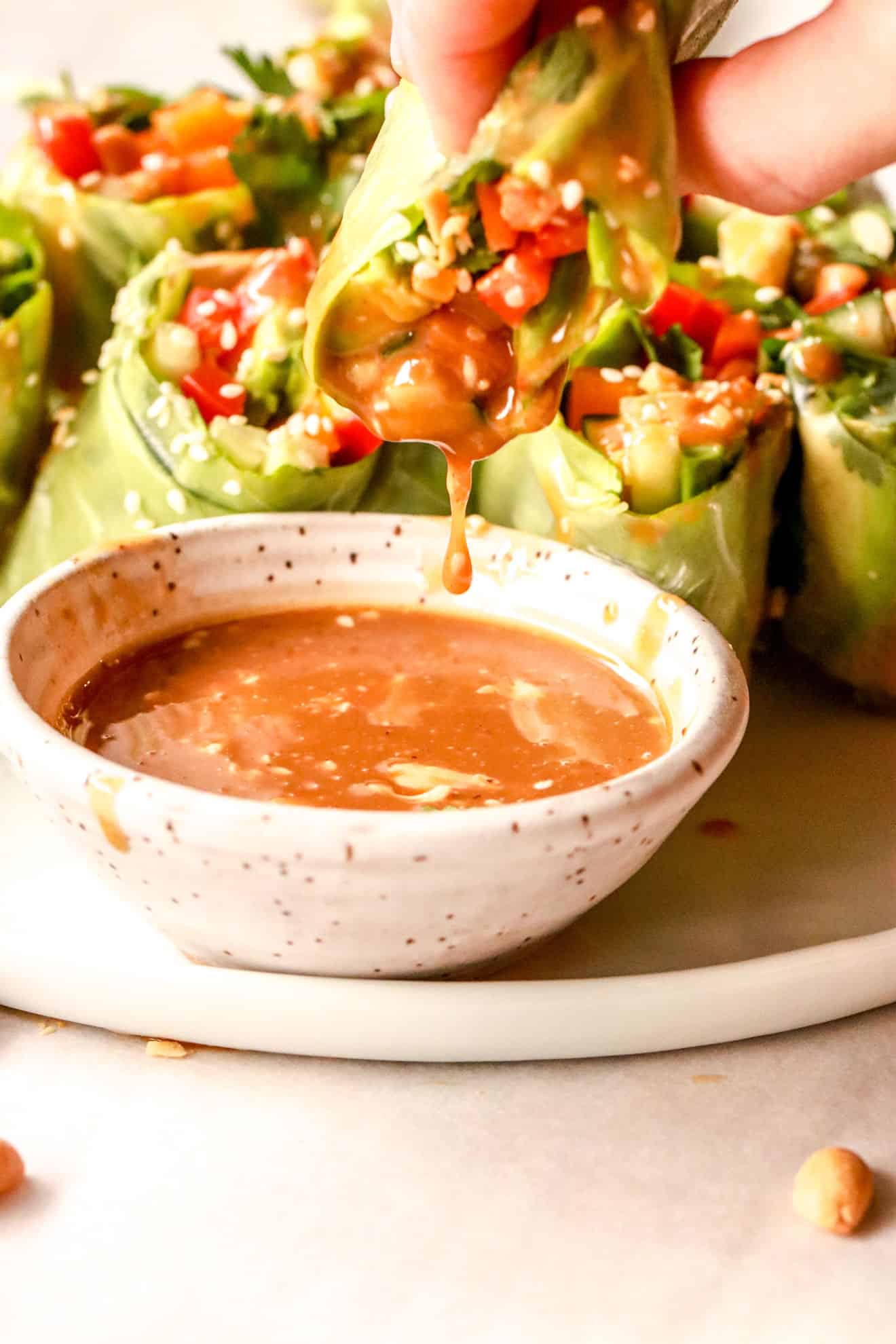 vegetable spring rolls with peanut dipping sauce on a white plate and white background