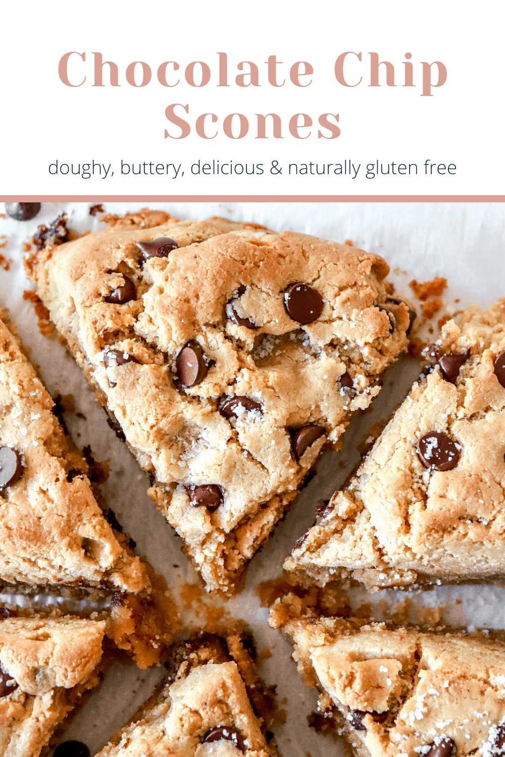 These gluten free Chocolate Chip Scones are golden brown and slightly crumbly on the outside yet fluffy and doughy in the middle! Made with almond flour! thetoastedpinenut.com #thetoastedpinenut #scones #chocolatechipscones #glutenfreescones #glutenfreedessert gluten free chocolate chip scones pinterest image