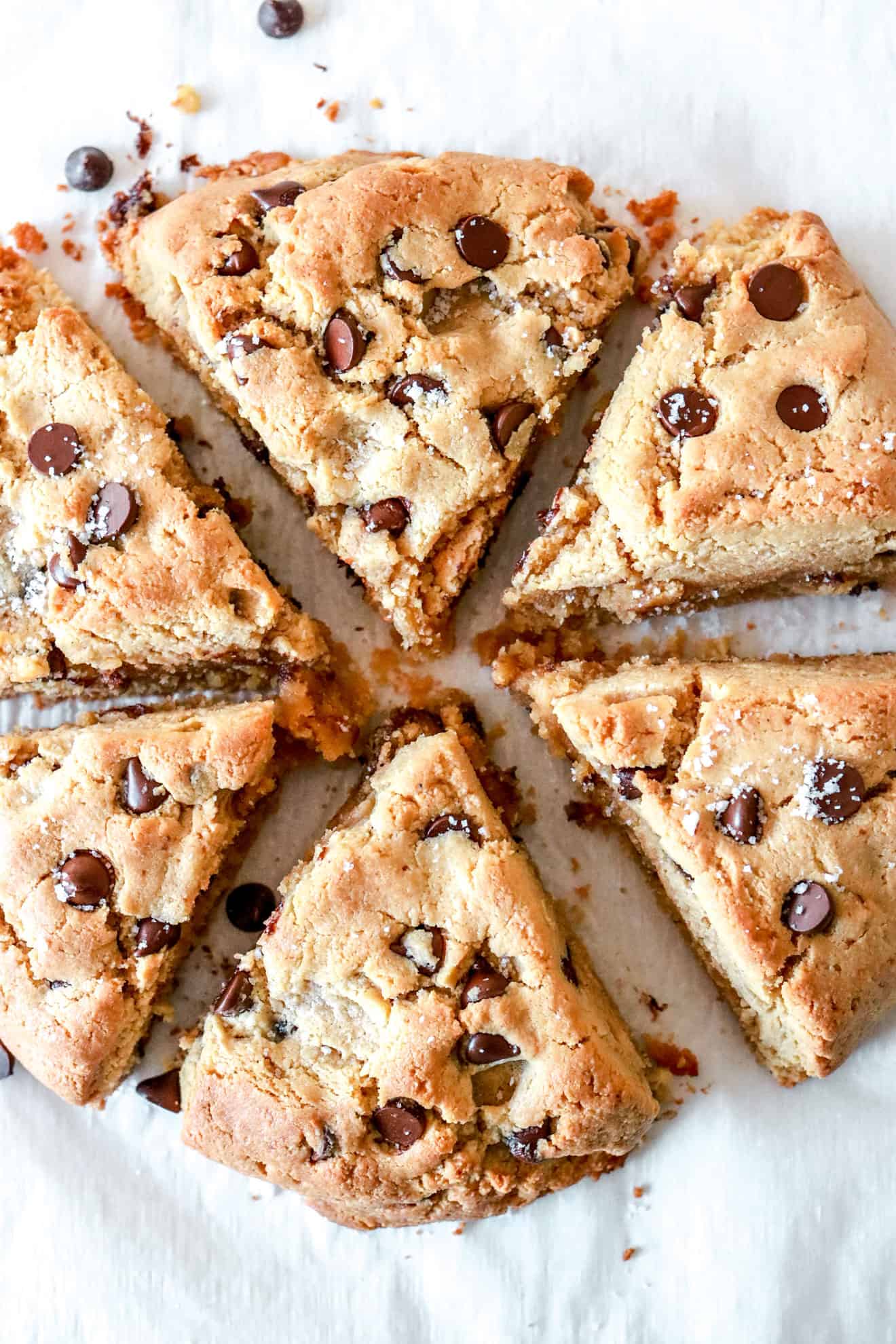 circle of chocolate chip scones cut in triangles on white background