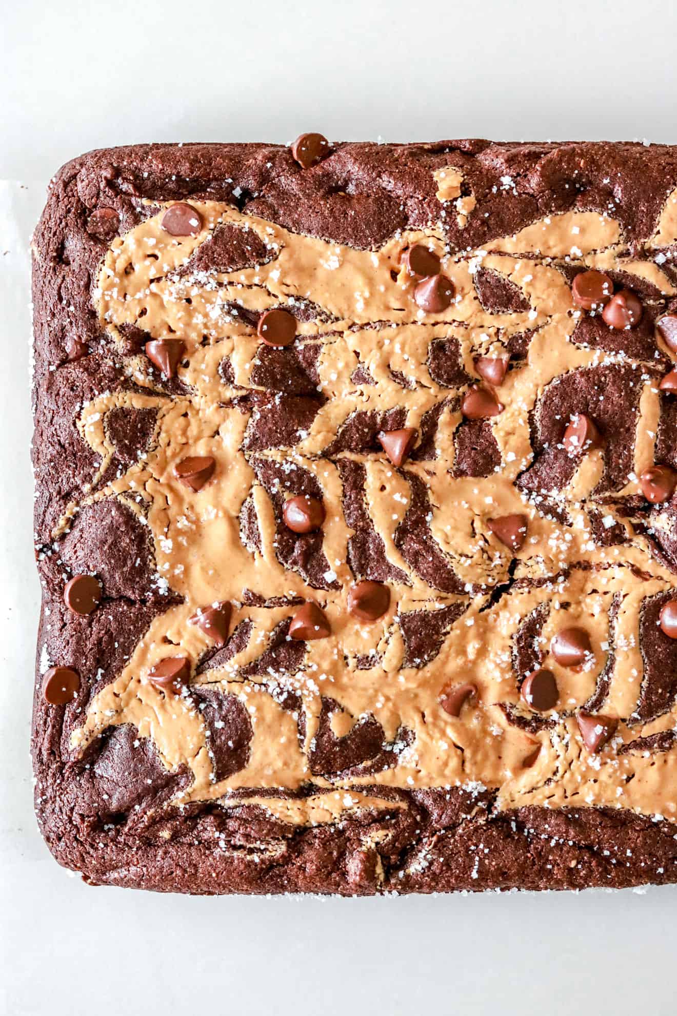 chocolate peanut butter swirl brownies with melty chocolate chips and flaked sea salt on white background.