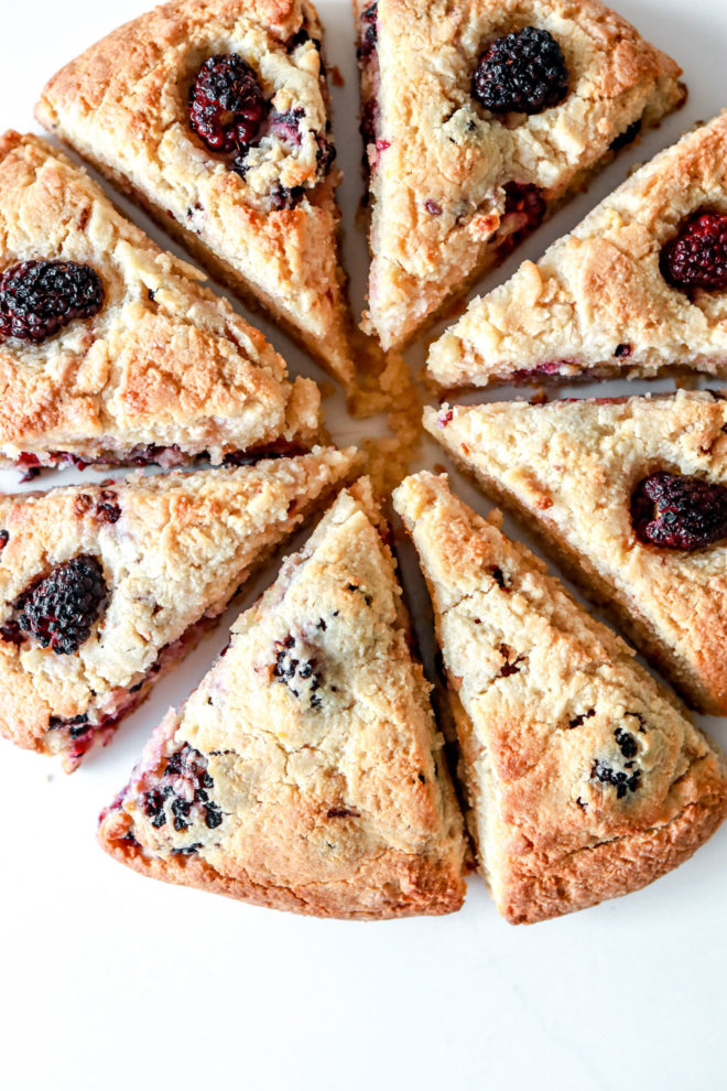 eight lemon blackberry scones lined up in a circle on white counter