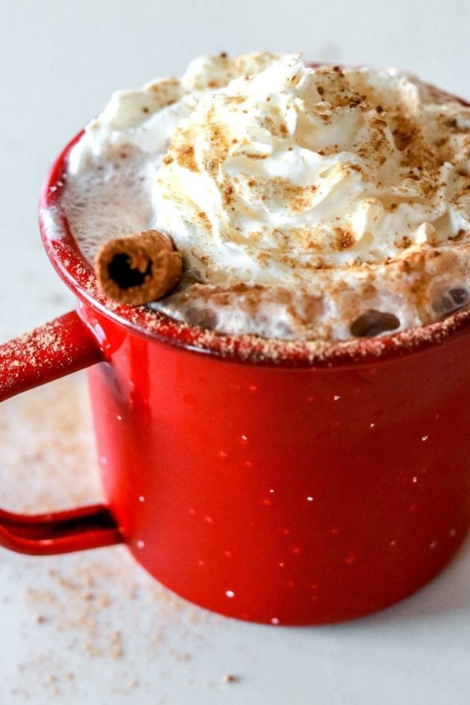 side view of a red mug with hot chocolate, whipped cream, a cinnamon stick, and a sprinkle of spice on top
