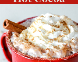 side view of a red mug with hot chocolate, whipped cream, a cinnamon stick, and spice sprinkled on top. text overly "simple & wholesome gingerbread hot cocoa."