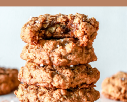 side view of a stack of five cookies on a white counter with other cookies blurred in the background. the top cookie has a bite taken out. text overlay reads "gluten free gingerbread oatmeal cookies"