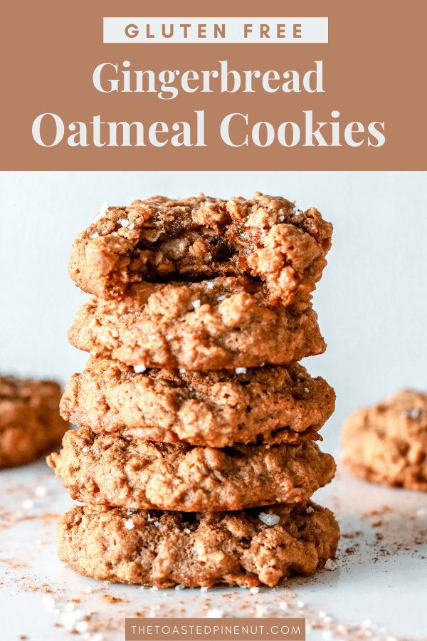 Gluten Free Gingerbread Oatmeal Cookies - The Toasted Pine Nut