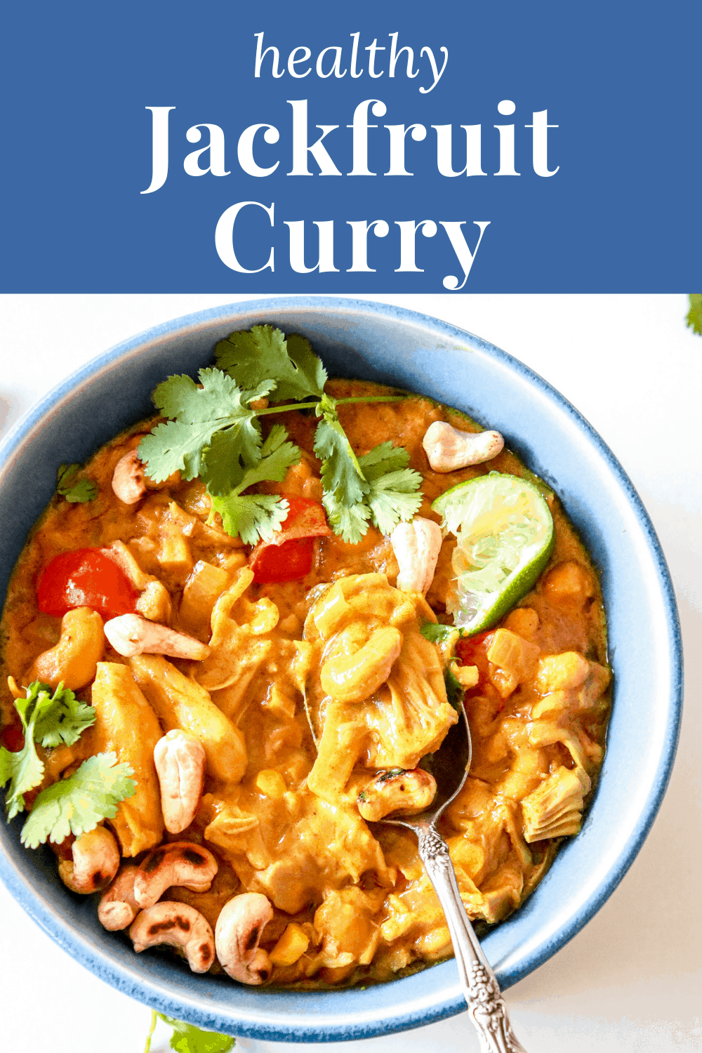 Rich & Creamy Vegan Jackfruit Curry (in 35 min!) - The Toasted Pine Nut