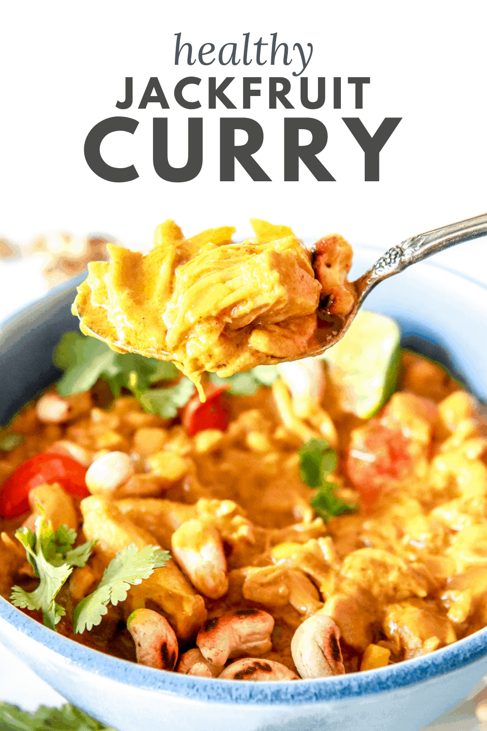 Rich & Creamy Vegan Jackfruit Curry (in 35 min!) - The Toasted Pine Nut