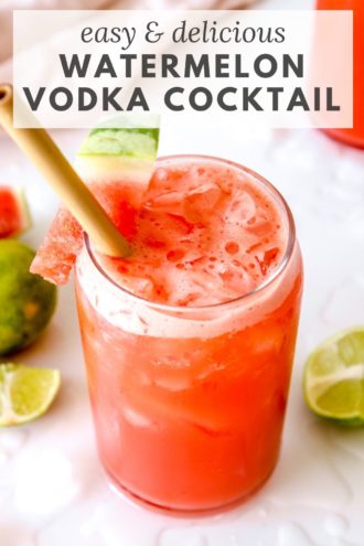 Fun & Easy Watermelon Vodka Cocktails - The Toasted Pine Nut