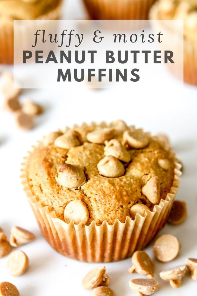 This is an overhead side angle view of a peanut butter muffin with peanut butter chips on top. The muffin sits on a white counter with more muffins blurred in the background. Peanut butter chips are scattered around the muffins. Text overlay reads "fluffy & moist peanut butter muffins."