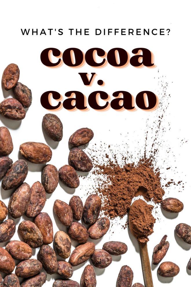 This is an overhead image of cacao beans on a white surface. A spoon has cocoa powder on it and is splattering onto the white surface. Text overlay reads "what's the difference? cocoa v. cocoa"