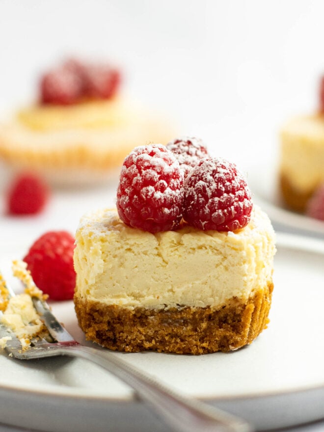 This is a vertical image looking from the side at a mini cheesecake that was baked in a muffin tin. On top of the cheesecake are three raspberries sprinkled with powdered sugar. The cheesecake sits on a white plate on a light marble surface. A fork is coming in from the left corner of the image and blurred on the side of the plate. More cupcake cheesecakes and raspberries are blurred in the background.