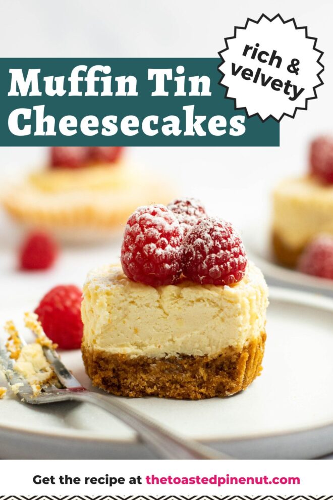This is a vertical image looking from the side at a mini cheesecake that was baked in a muffin tin. On top of the cheesecake are three raspberries sprinkled with powdered sugar. The cheesecake sits on a white plate on a light marble surface. A fork is coming in from the left corner of the image and blurred on the side of the plate. More cupcake cheesecakes and raspberries are blurred in the background. Text overlay reads "muffin tin cheesecakes rich & velvety"