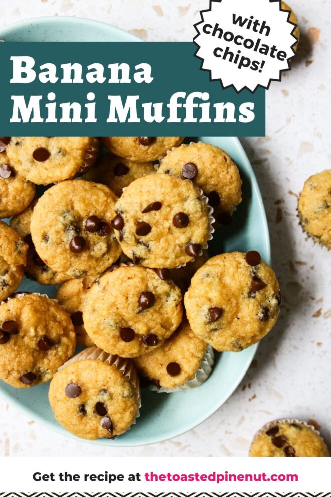 This is an overhead vertical image of an oval light blue plate with mini chocolate chip banana muffins on it. The muffins are lined with white parchment liners. Three muffins are on the white and beige terrazzo surface to the top right, right, and bottom right side of the plate. Text overlay reads "banana mini muffins with chocolate chips!"