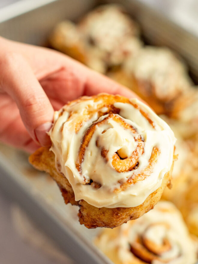 This is a vertical image of a hand coming into the image from the left side and holding a large cinnamon rolls. The cinnamon roll is topped with creamy white frosting. A large silver pan with more cinnamon rolls are blurred in the background.
