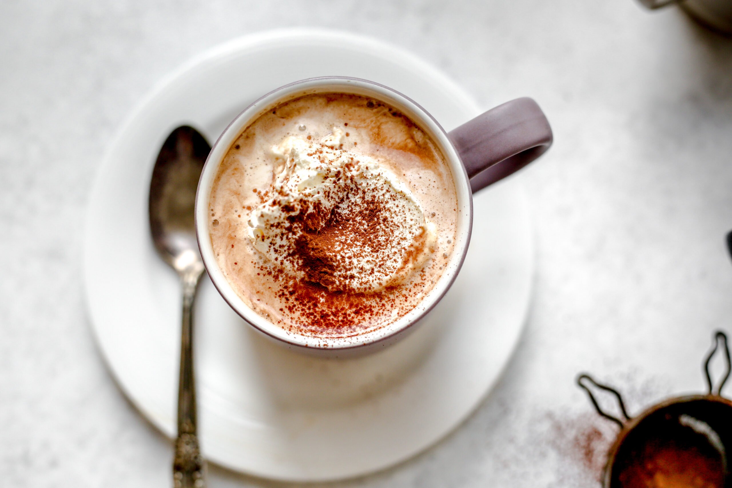 This is an overhead horizontal image of a purple/grey mug on a small white plate. In the mug is hot chocolate with whipped cream and a sprinkle of cocoa powder. A silver spoon is on the plate next to the mug. The plate sits on a light grey surface.