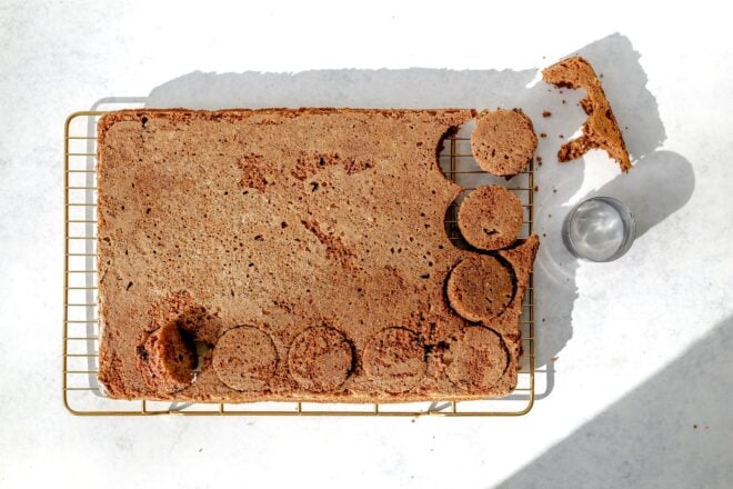 This is an overhead horizontal image of a sheet pan carrot cake on a cooling rack. The cooling rack sits on a white surface. A circular cookie cutter is on the white surface to the right of the cooling rack. Circles have been cut out of the sheet pan cake to make mini cakes.